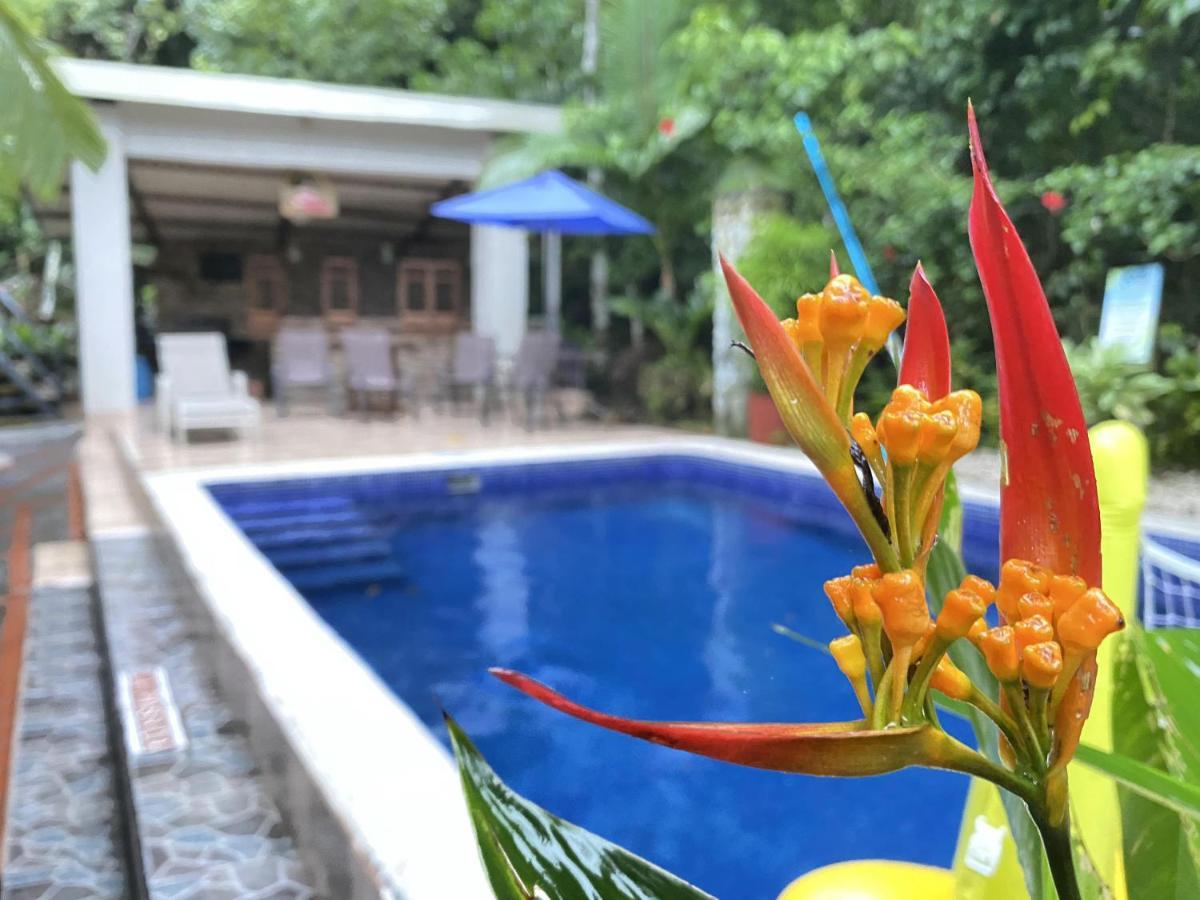 La Posada Jungle Hotel مانويل أنطونيو المظهر الخارجي الصورة