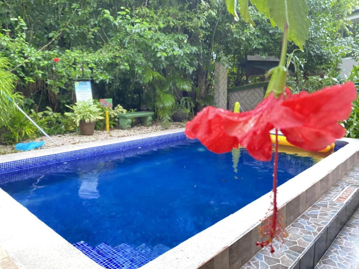 La Posada Jungle Hotel مانويل أنطونيو المظهر الخارجي الصورة