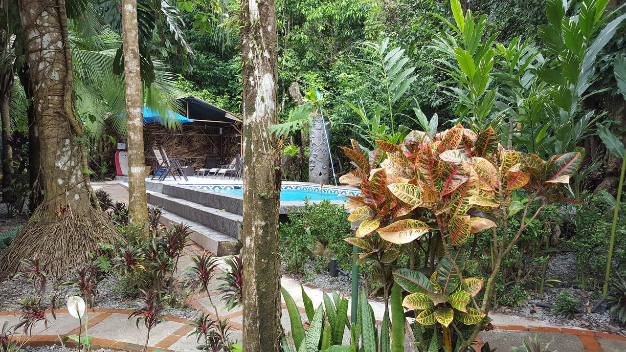 La Posada Jungle Hotel مانويل أنطونيو المظهر الخارجي الصورة