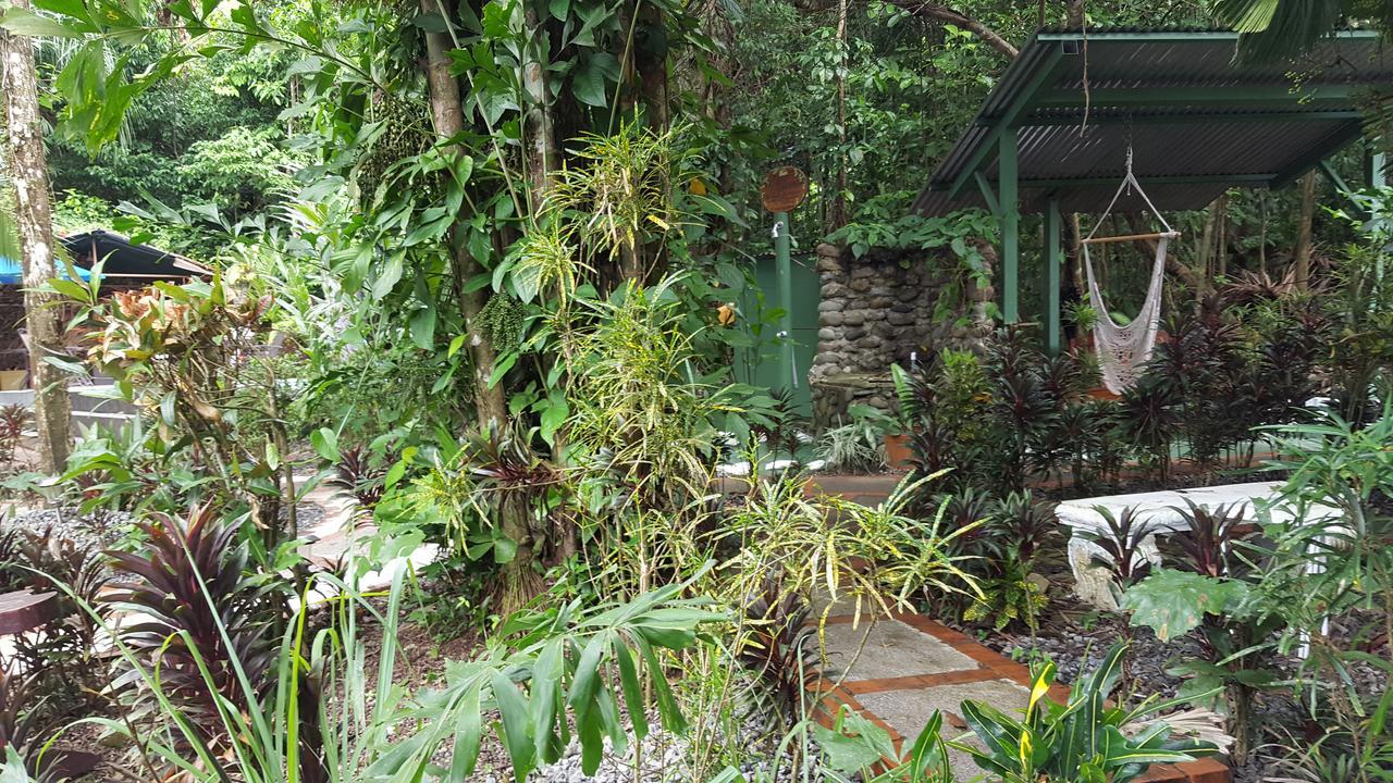 La Posada Jungle Hotel مانويل أنطونيو المظهر الخارجي الصورة