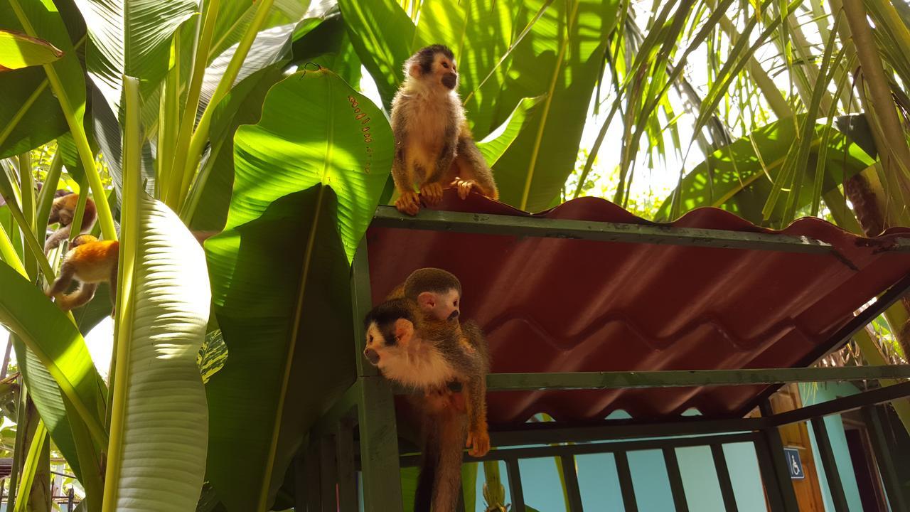 La Posada Jungle Hotel مانويل أنطونيو المظهر الخارجي الصورة