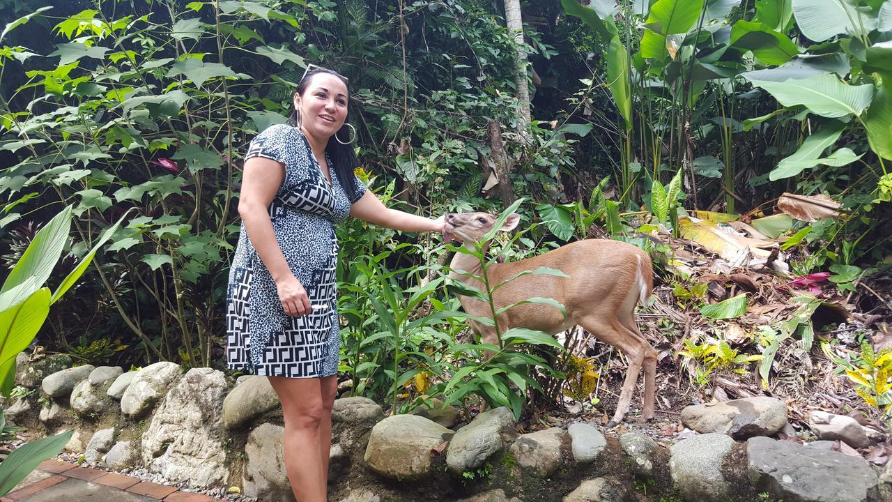 La Posada Jungle Hotel مانويل أنطونيو المظهر الخارجي الصورة